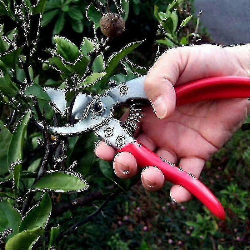 Professional Grade Pruning Shears - Ars Vs-8xz Secateurs