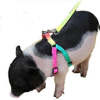 Kleines Schwein verstellbare Geschirrleine für Schwein Schweinchen und andere Kleintiere -Frettchen, Kaninchen Lucky_B hwy480