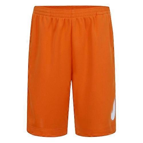 Nike Childrens/Kids Dri-FIT Logo Shorts
