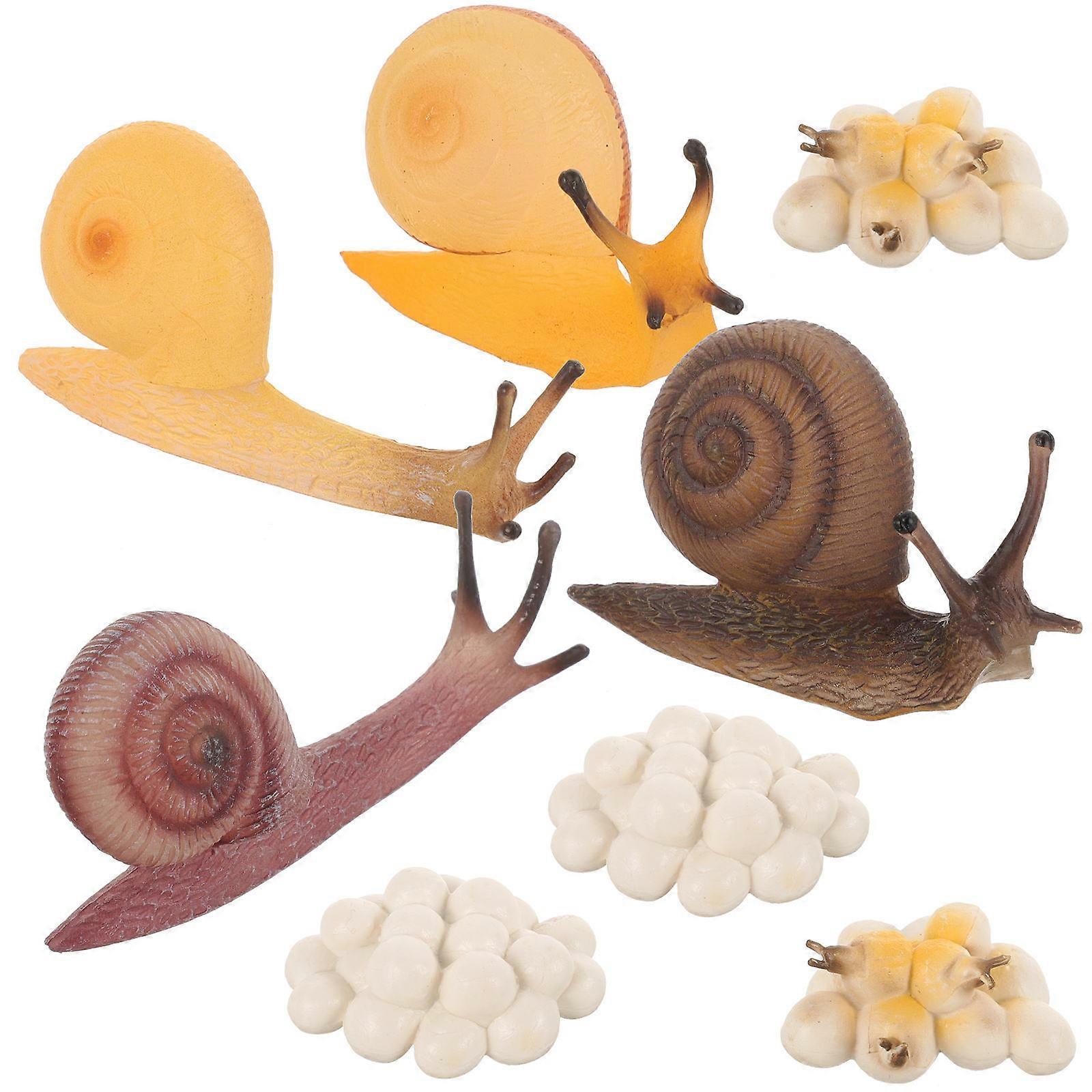 2 Sets Snail Growing Cycle Toy Plastic Model Simulation Figurines Kids Educational Toy