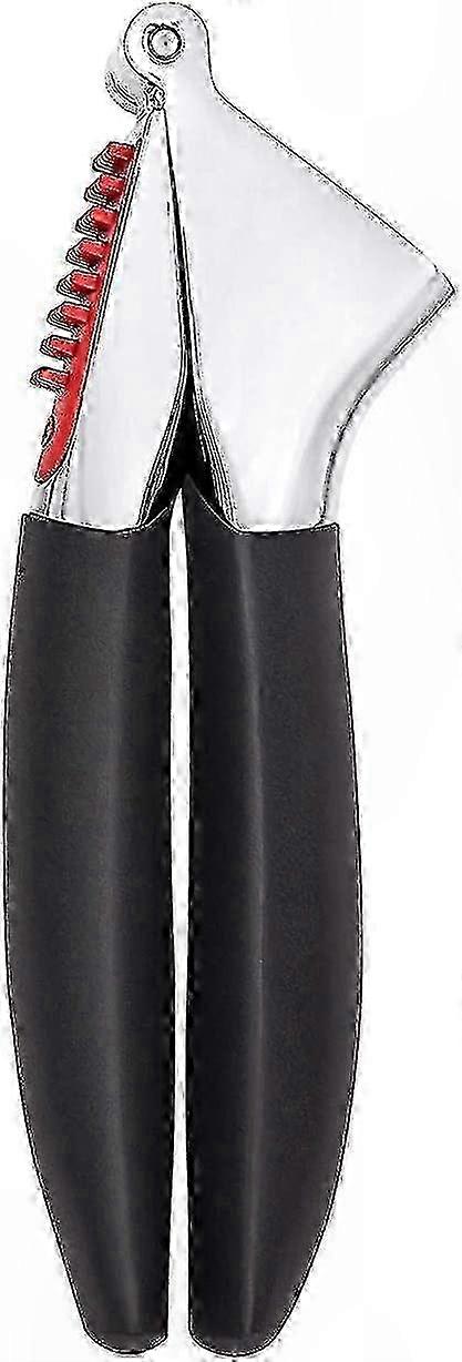 Kitchen Garlic Press for Effortless Crushing and Mincing