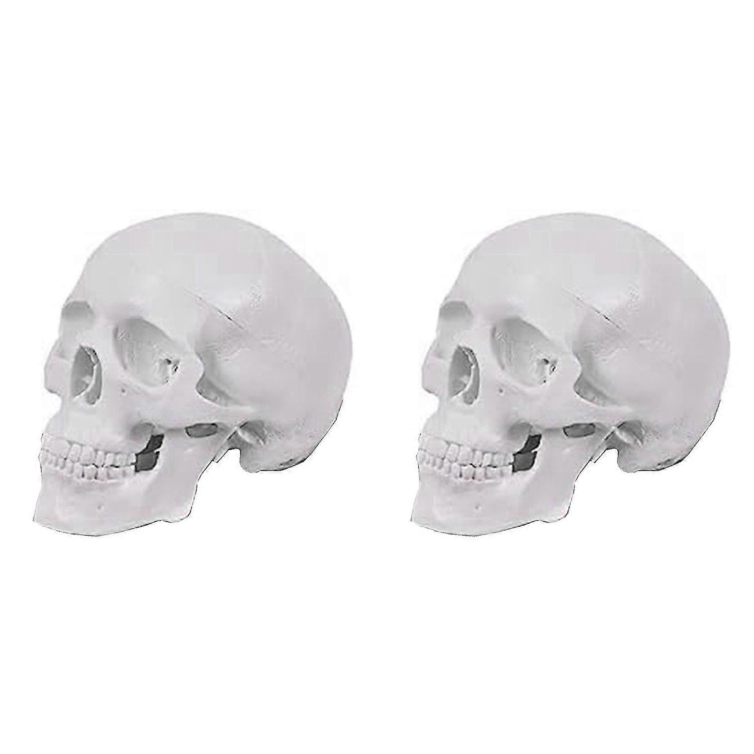 Mini Human Skull Model, 3 Parts Anatomical Skull Model