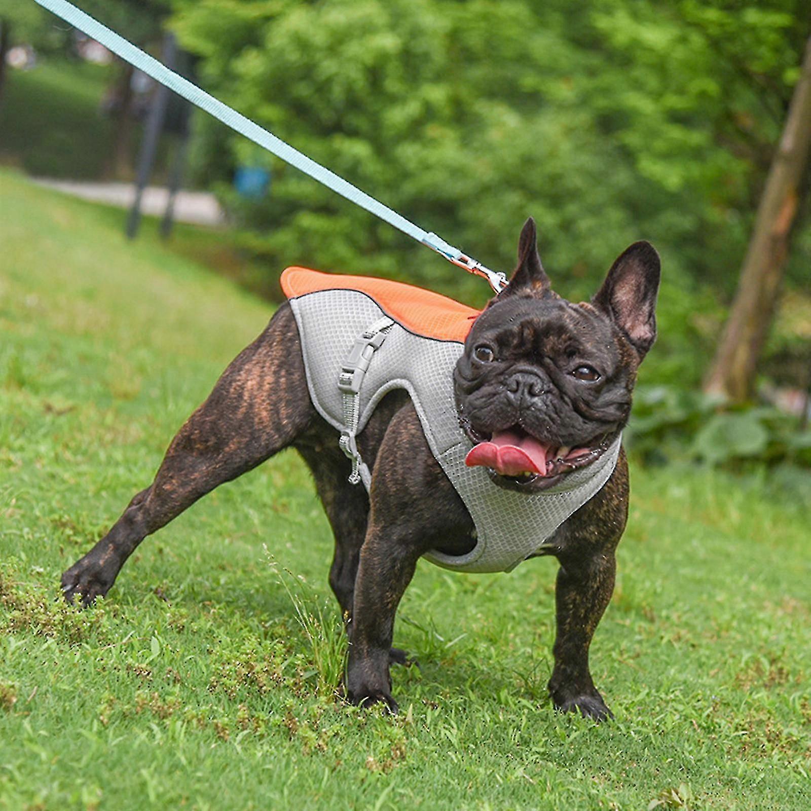 Koiran jäähdytysliivi Säädettävät kesävaatteet Koiran jäähdytin takki ulkoiluun, kävelyyn ja retkeilyyn