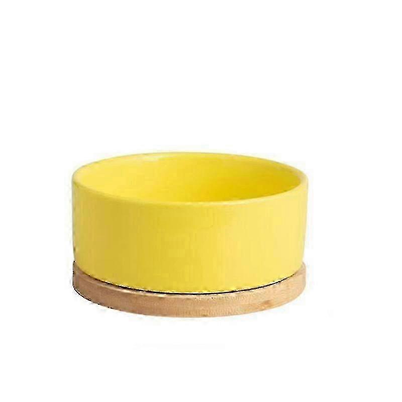 Heated Water Bowl for Pets with USB Port and Constant Temperature Control