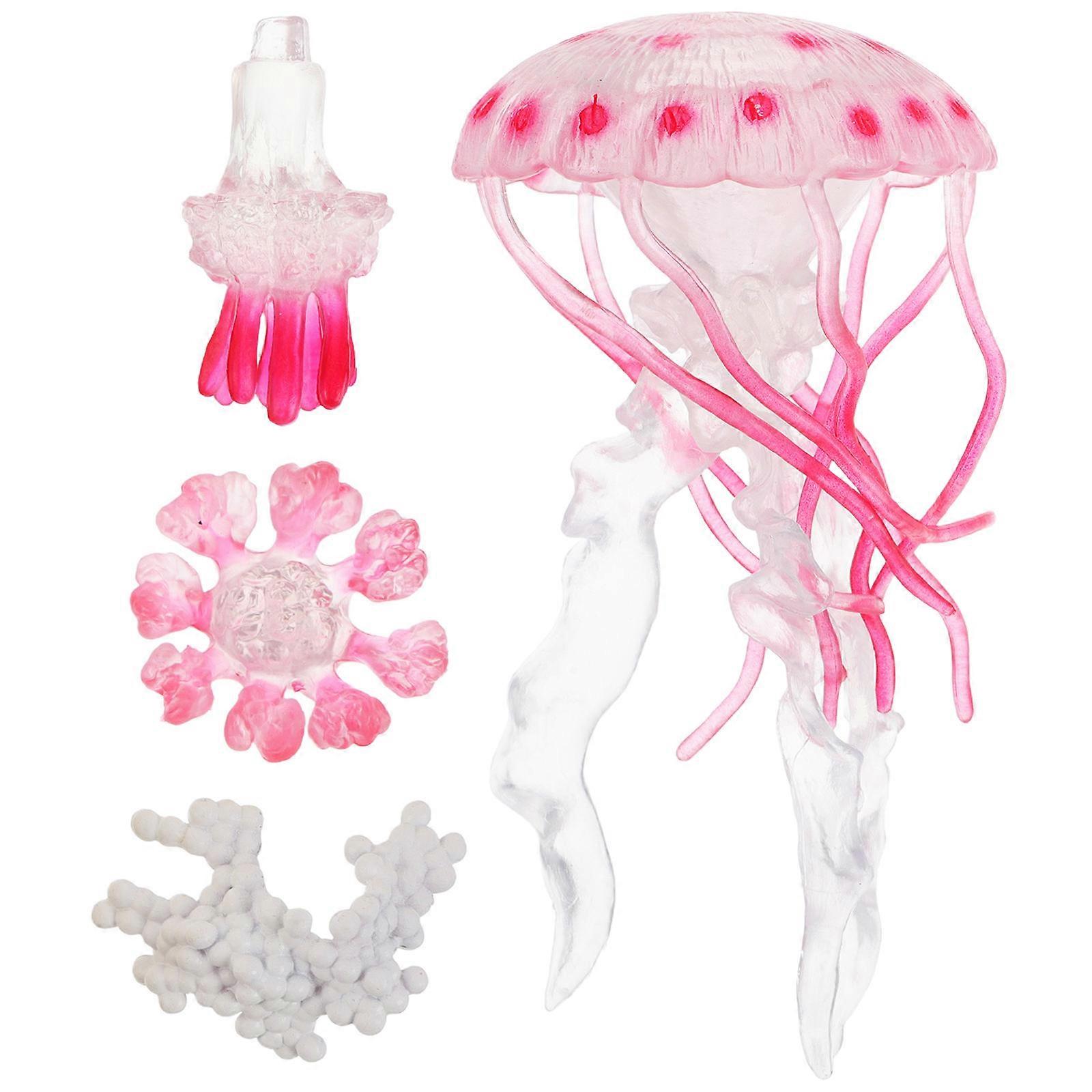 Assorted Color Jellyfish Toy for Life Cycle Science Learning 4Sets for Kids