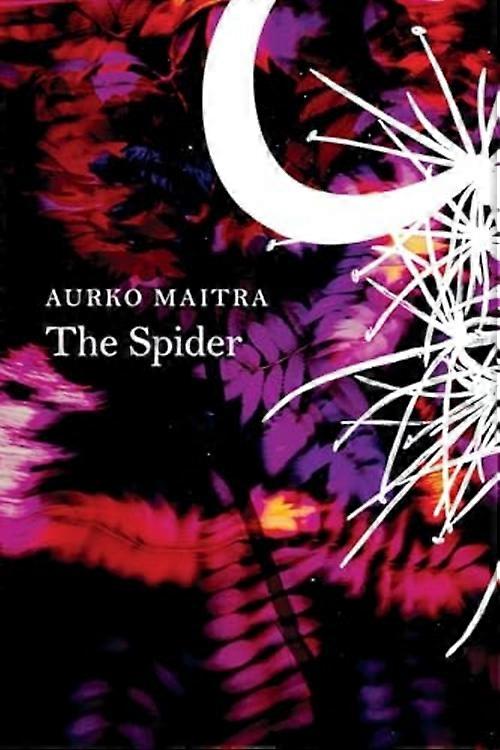 Spinne
