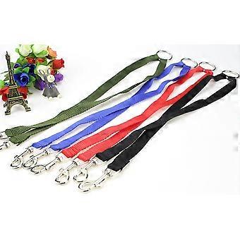 Laisse double pour chiots et chats, multicolore