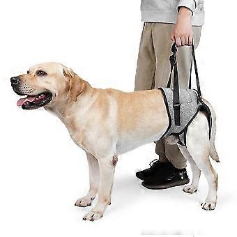 Adjustable Rehab Harness with Lift Handle