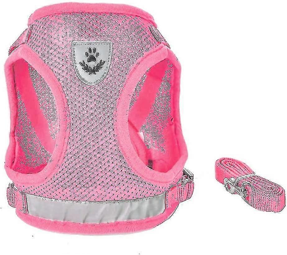 Dog Harness And Leash Set