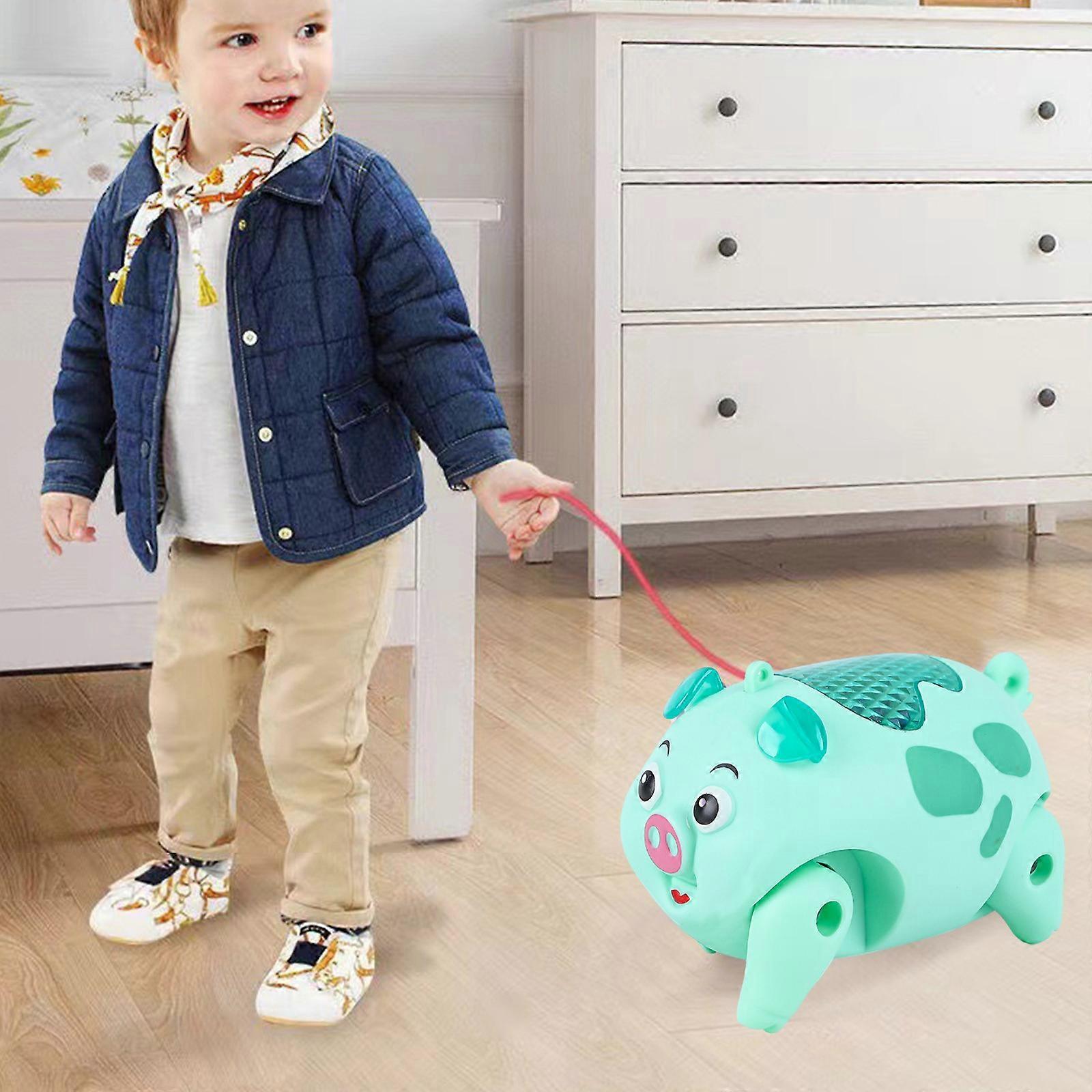 Leash, Cute And Funny Multi-colored Little Cute Pig Will Walk, Sing, Music Toy