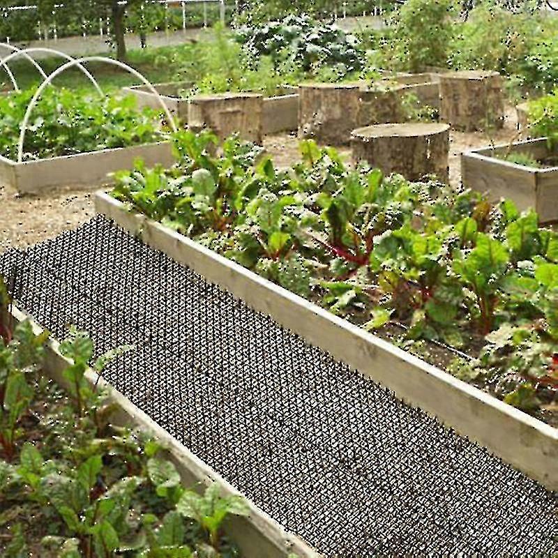 2 Meters Cat Mats with Spikes Prickle Strips to Prevent Cat Digging in Your Garden