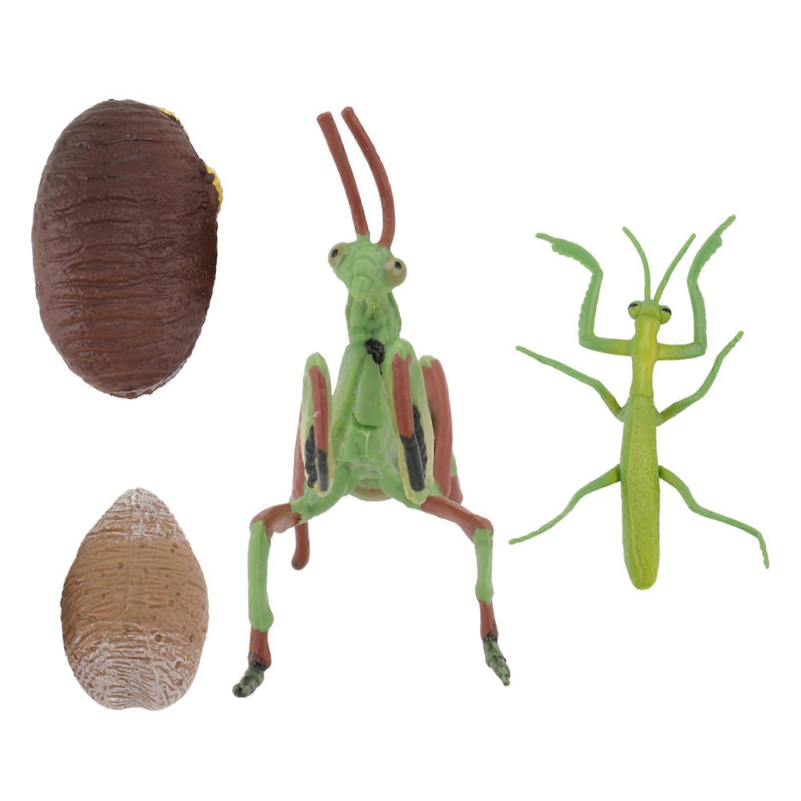 Life Cycle Model Snail and Praying Mantis Realistic Animal Figures Educational Toy Portable Durable Plastic