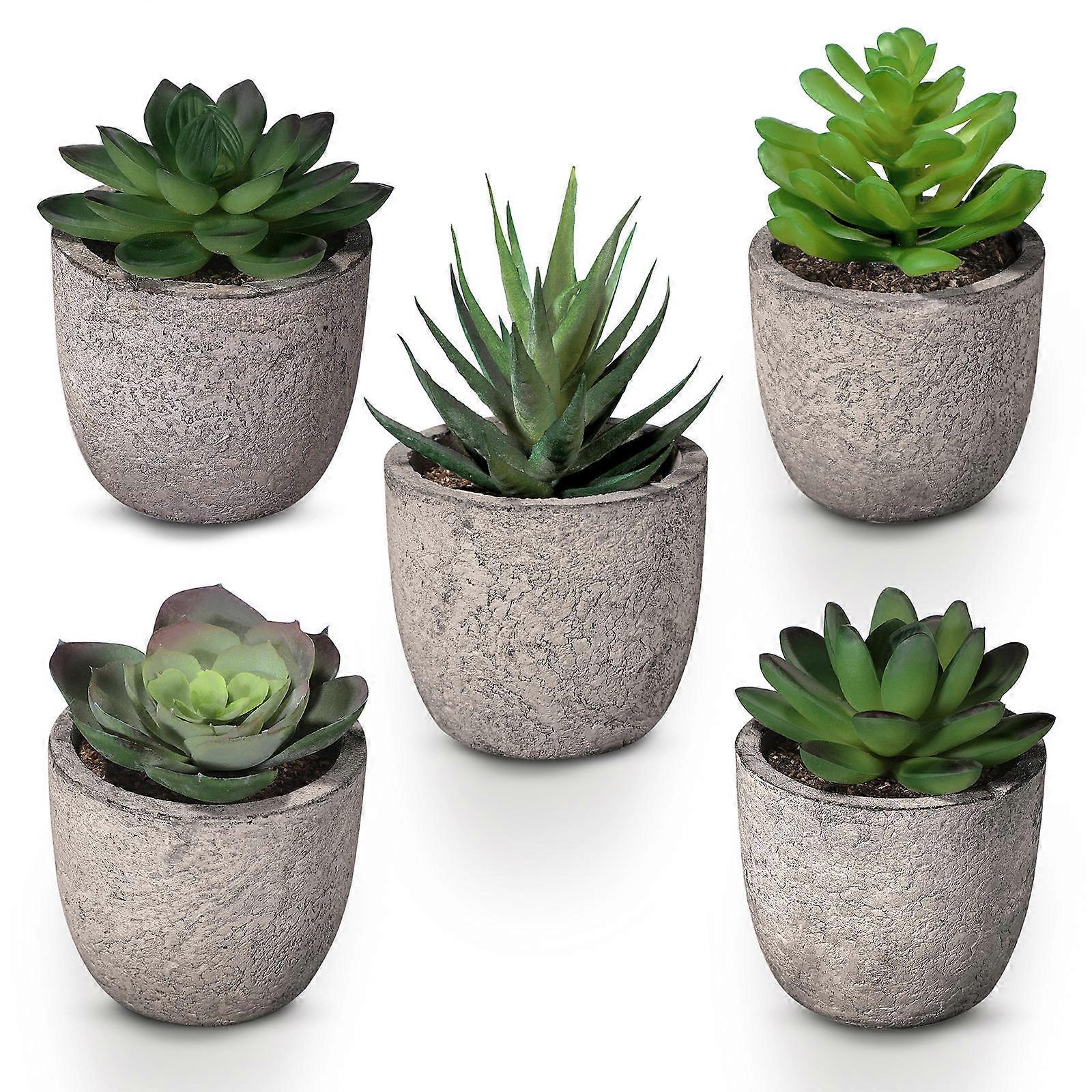 Faux Small Plants Realistic Tiny Plants Home Window Office Desk Photo Scene Decoration Natural Looking 5Pcs