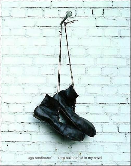 Ugo Rondinone Zero Built A Nest In My Navel by JRP Editions Hardback Book