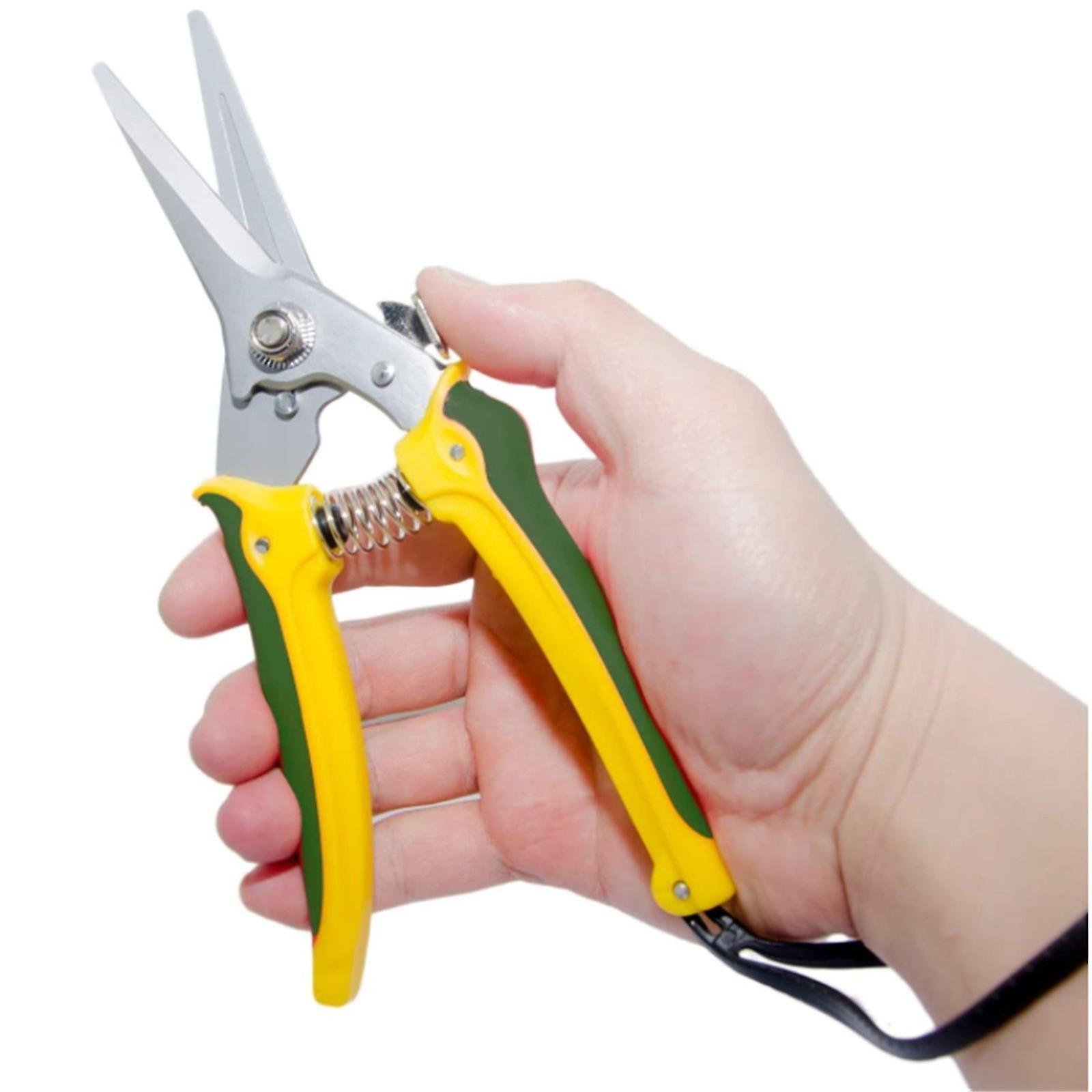 Specialists Resistant Foot Rot Shears Sheep Horse Hoof Shears Trimming