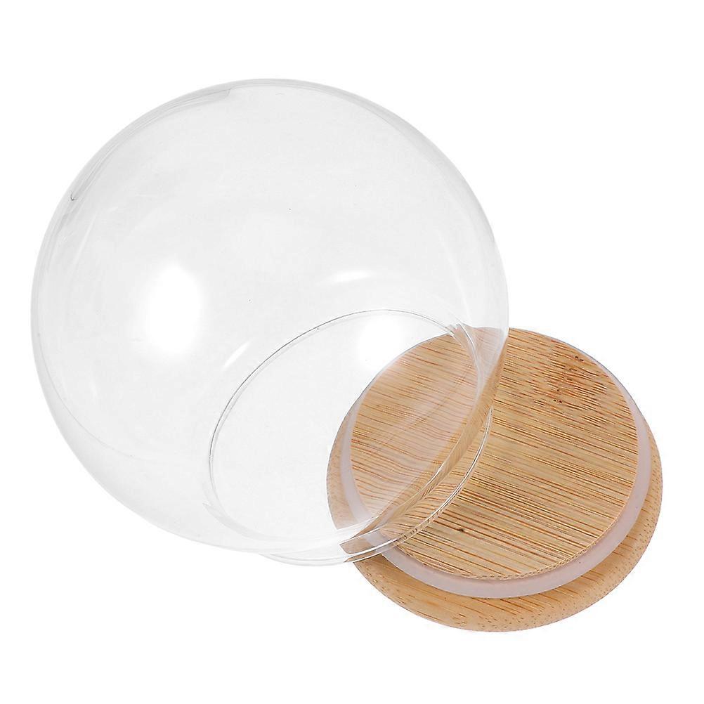 Glass Dome Cloche for Decor with Wood Base 2Pcs Display Globe