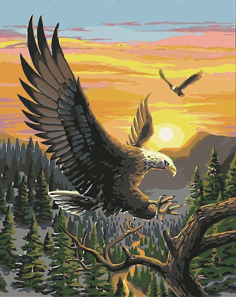 Paint by Numbers Adults Beginners Eagle Sunset Forest 16x20 Linen Canvas Acrylic DIY Number Painting Kits Without Frame