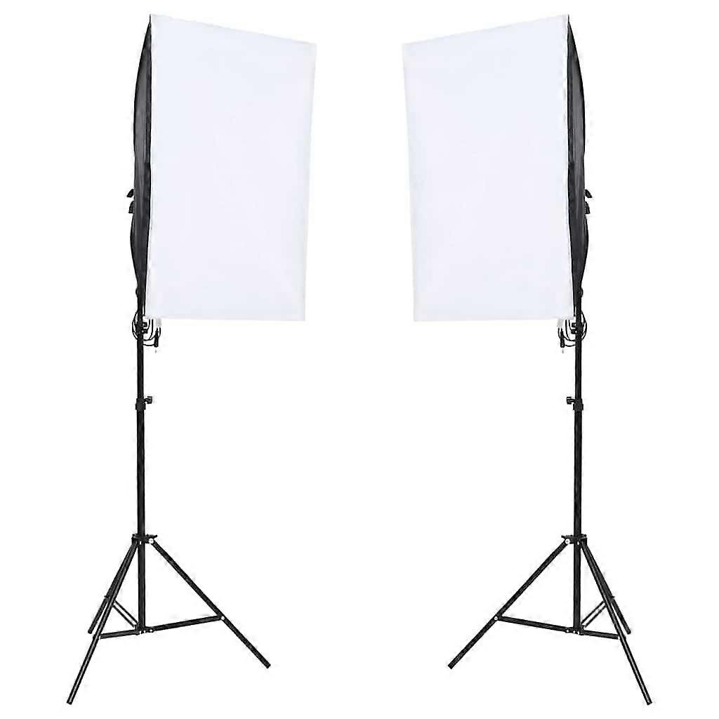 vidaXL Studiolampen 2 st professioneel 40x60 cm