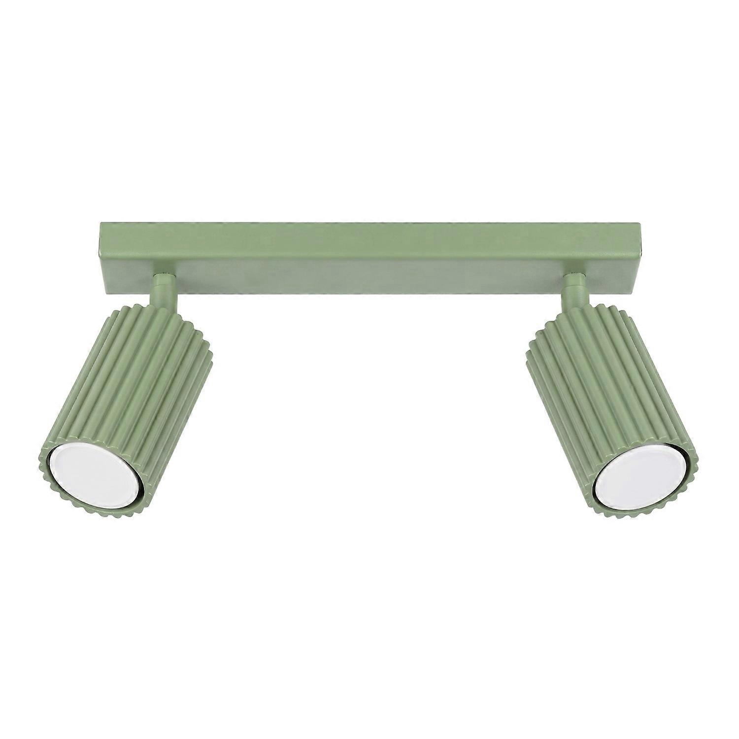 Ceiling lamp KARBON 2 sage