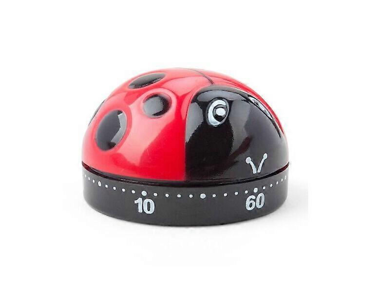 Kitchen Timer