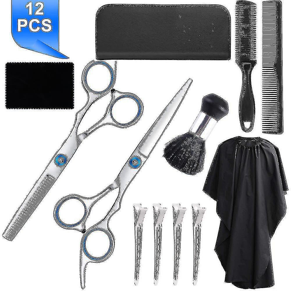 Hair Scissors Set, With Cape, Combs Clips, Black Case, Professional