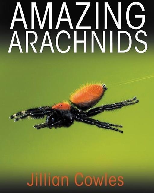 Amazing Arachnids by Jillian Cowles Hardback Book