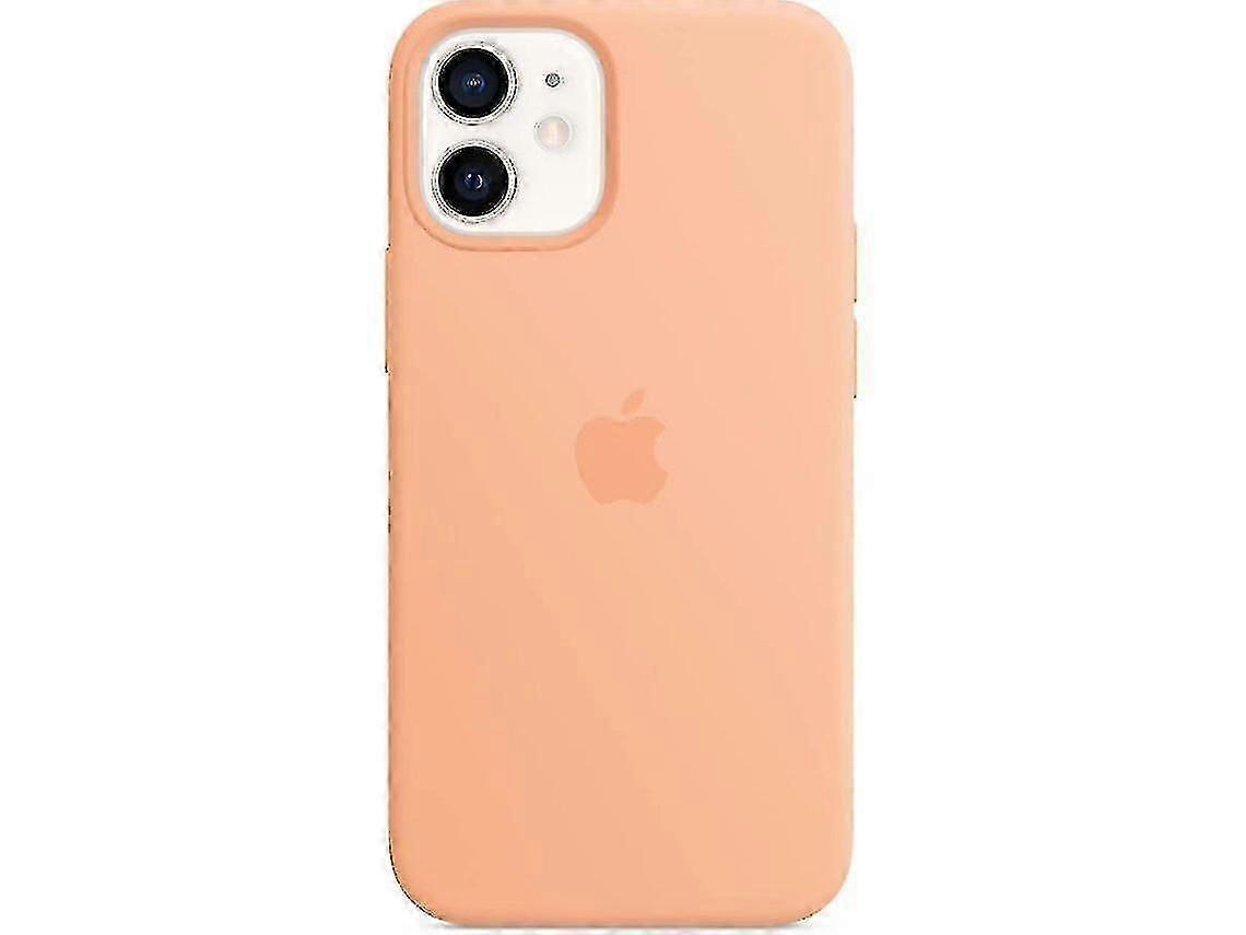 Silicone Case With Magsafe compatible Iphone 12 Mini_Gift for G