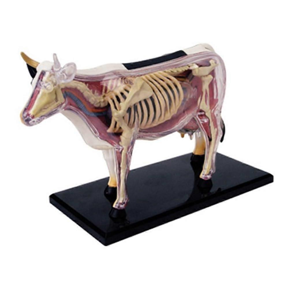 4D Cow Anatomy Model with 28 Removable Organs for Veterinary Students and Interactive Learning