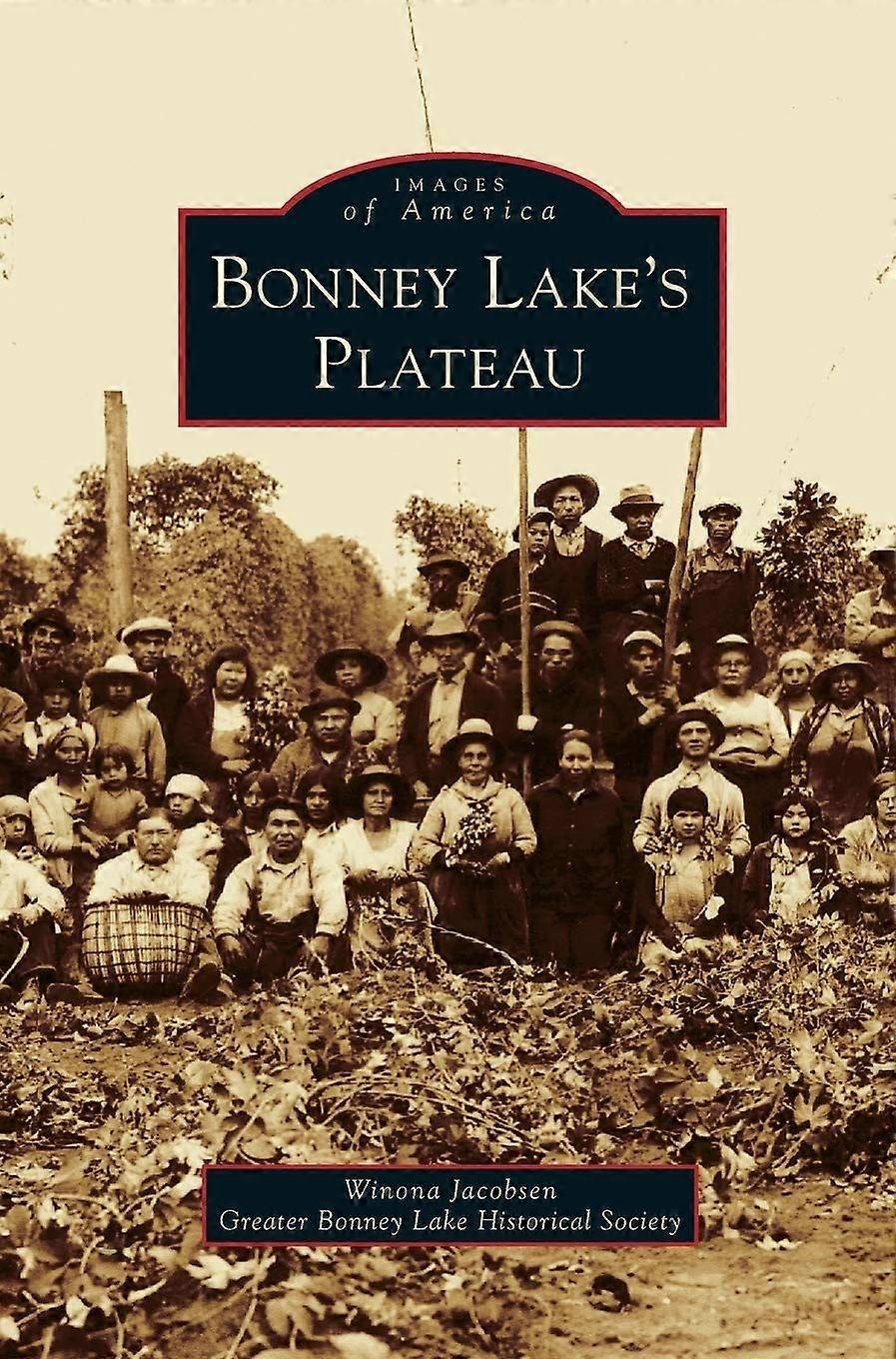 Bonney lake's plateau