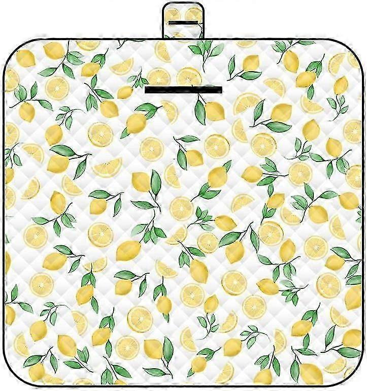 Waterproof and Foldable Picnic Mat