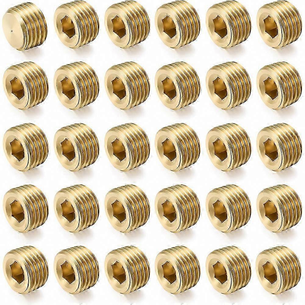 Secure End Closure - 30Pcs 1/4"NPT Male Pipe Plug Fitting Set | Internal Hex Thread Socket & Hex Counter Sunk Plugs Kit