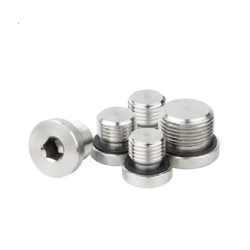 M24x1.5 ED Ring Stainless Steel Plug