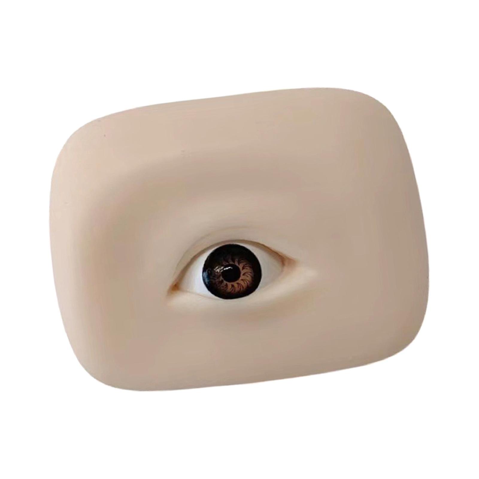 Silicone Eyes Model with Eyeball Practice Lightweight  Brown Right