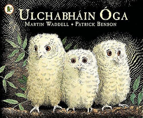 Ulchabhain Oga (Owl Babies)