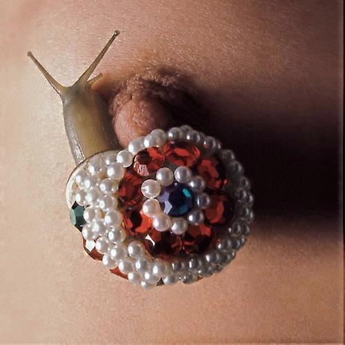 Dot Hacker - How's Your Process  [COMPACT DISCS] USA import