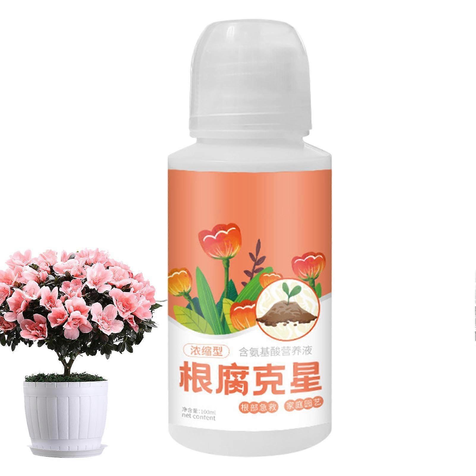 Plant Root Stimulator 100ml for Root Growth and Strong Roots, Ideal for Succulents and Root Rot Treatment