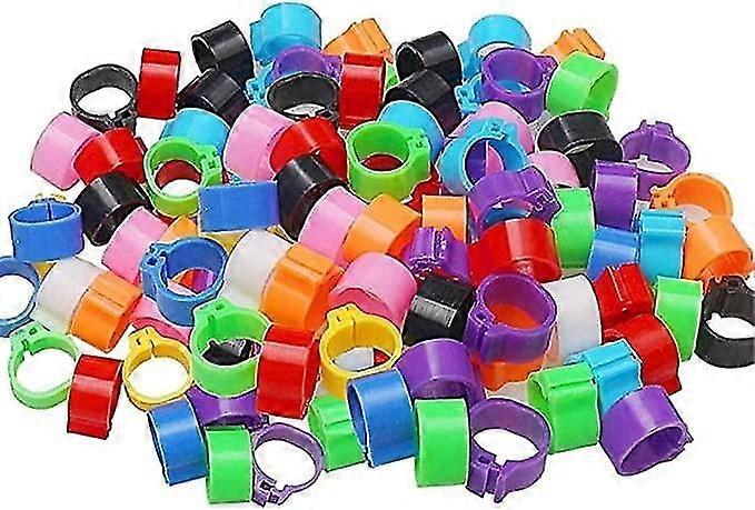 48 Pieces Chicken Leg Rings Multiple Color Chicken Identification Thigh Bands Numbered Clip on Leg R