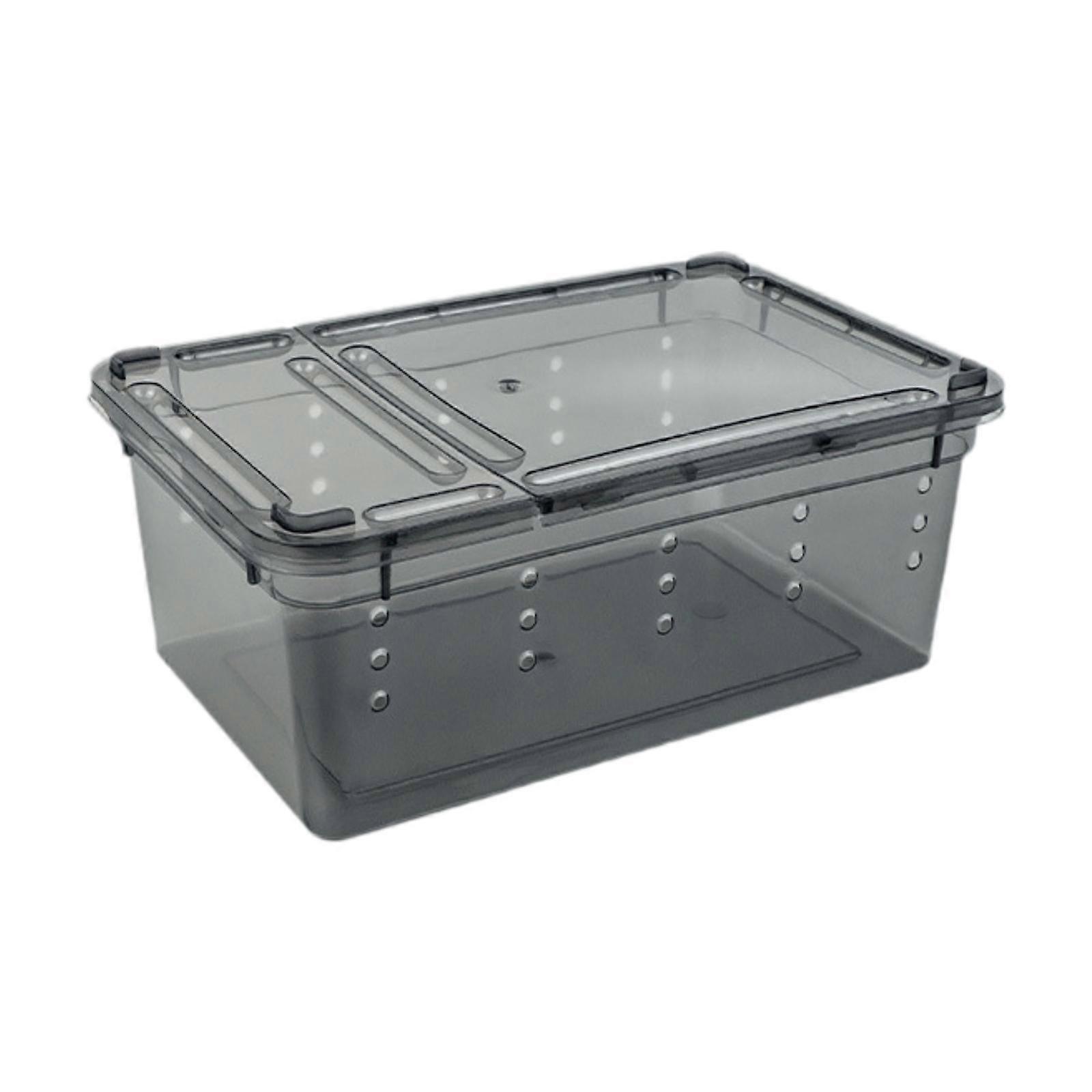 Reptile Feeding Box Portable Case Transparent Black for Spider Beetle