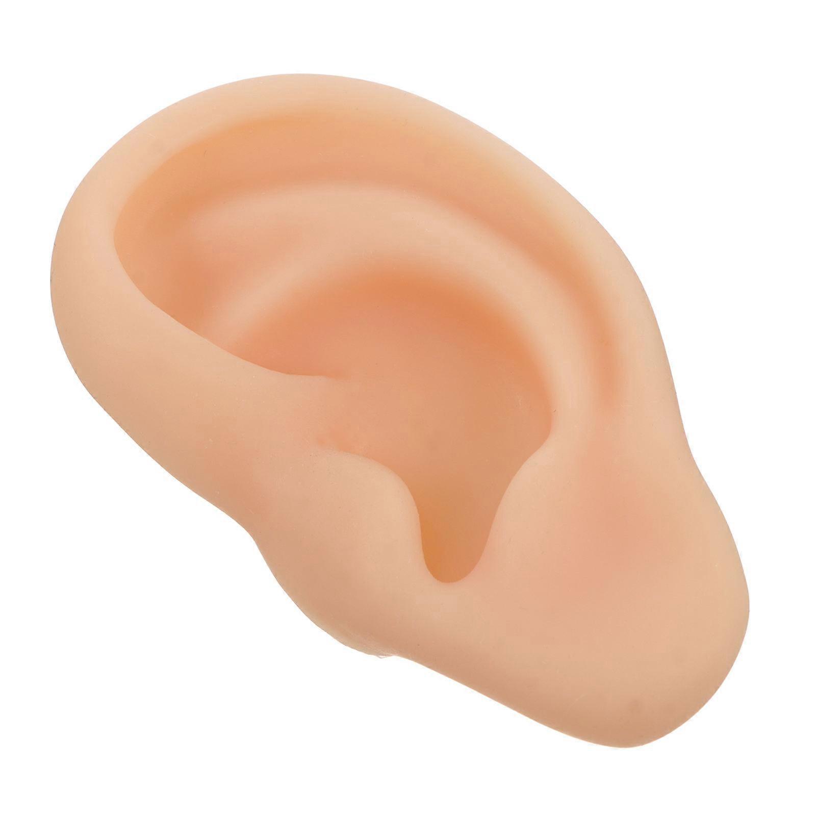 1Pc Silicone Ear Model Simulation Medical Ear Model Ear Presentation Model