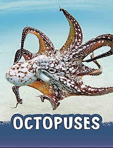 Pieuvres (animaux)