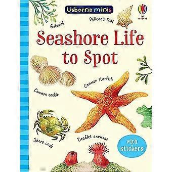 Seashore Life to Spot (Usborne Minis)