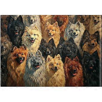 German Spitzs Jigsaw Puzzle SQZ513