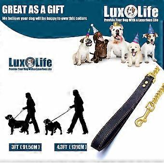 Dog Chain Leash, Gold Stainless Steel Cuban Link with Leather Handle, 12mm, 3ft/4.3ft Length for Small Medium Large Dogs