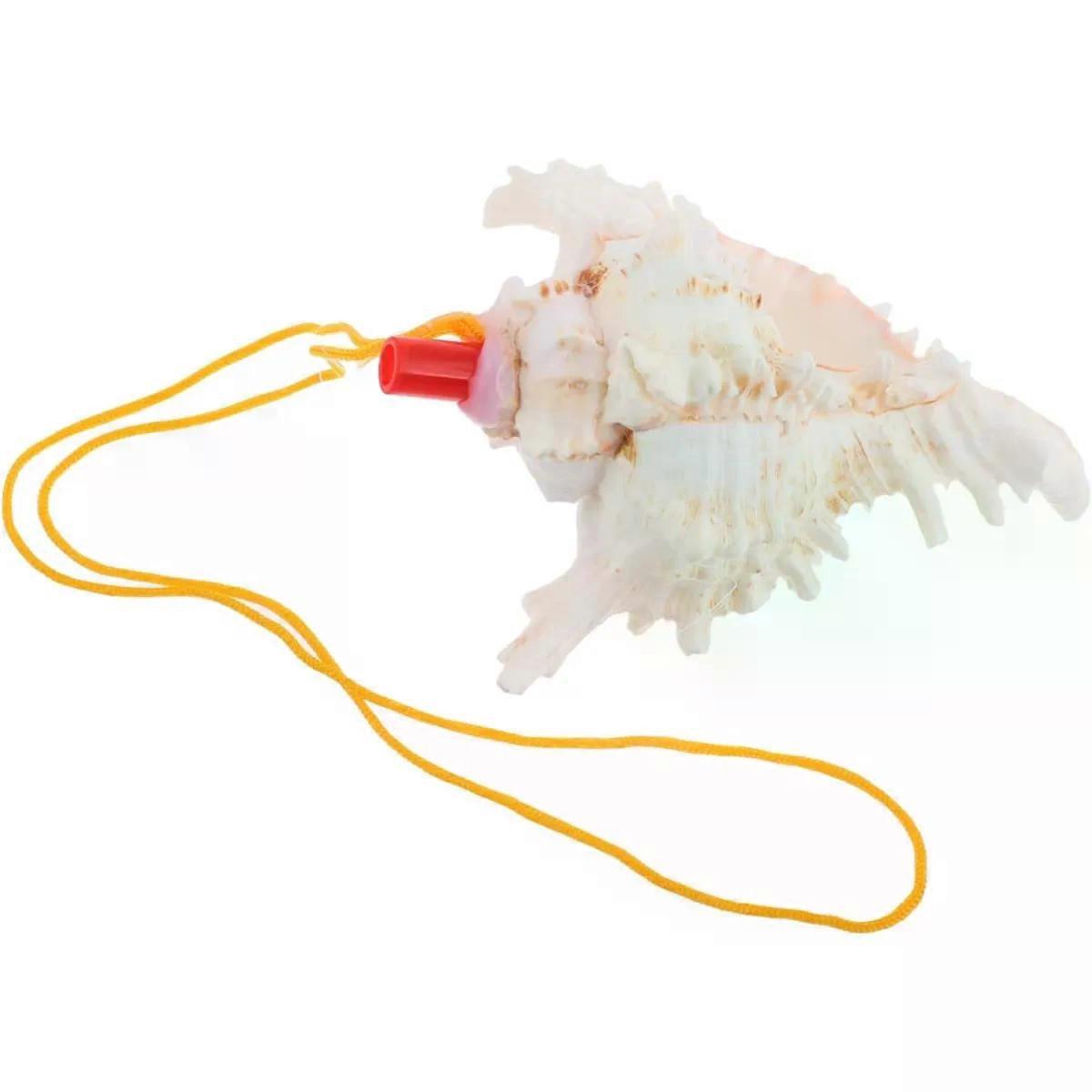 Large Conch Shell Whistle Decorative Horn for Blowing, Unique