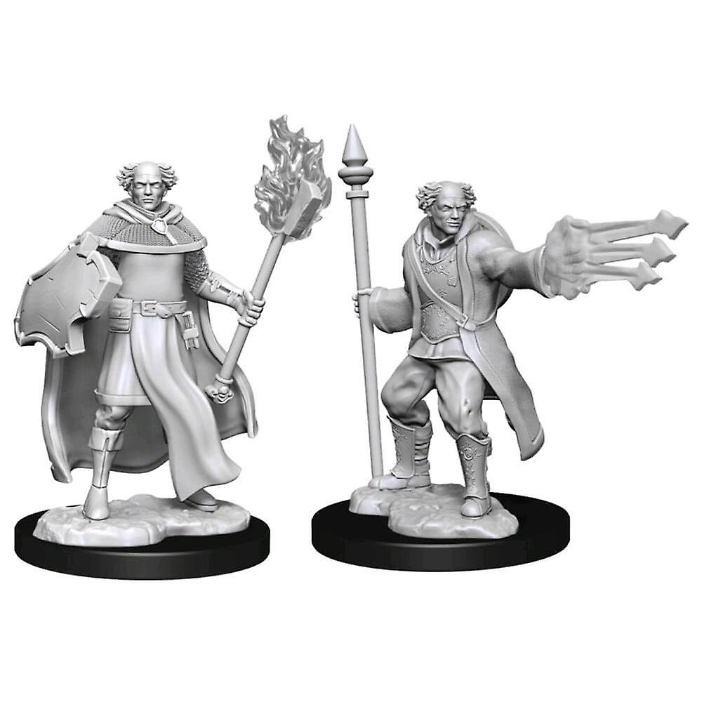 Highly Collectible D&D Nolzur's Minis Multiclass Cleric Wizard Male Figure