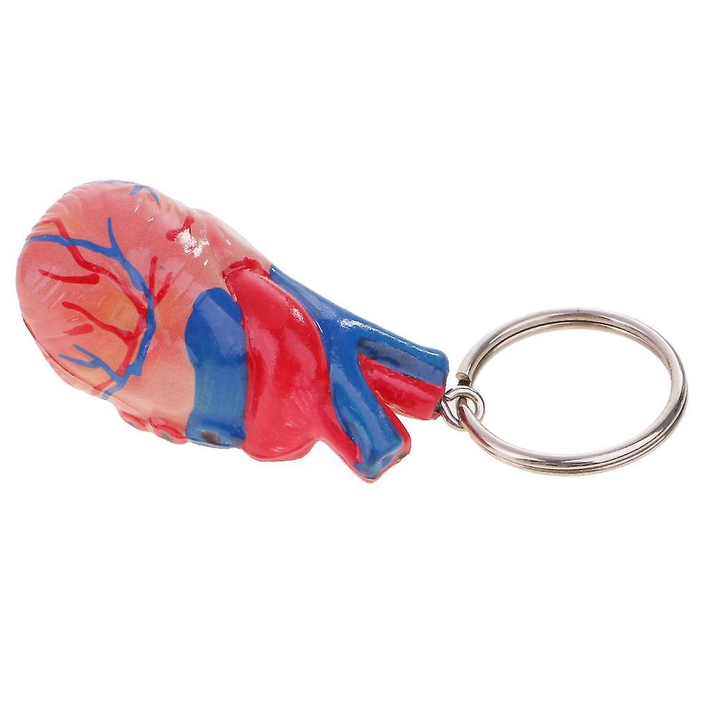 Mini Human Heart Model Keychain Decoration Portable Anatomy Teaching Tool