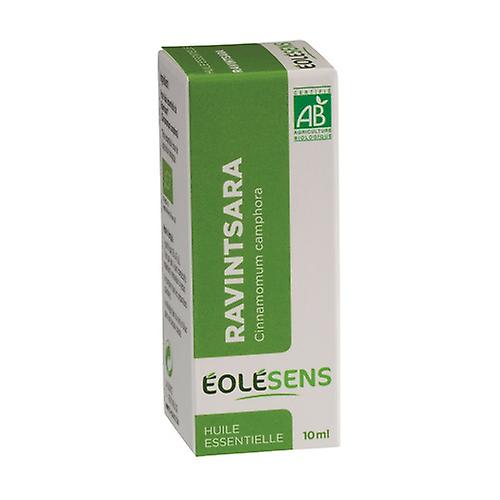 Ravintsara 10 ml of essential oil