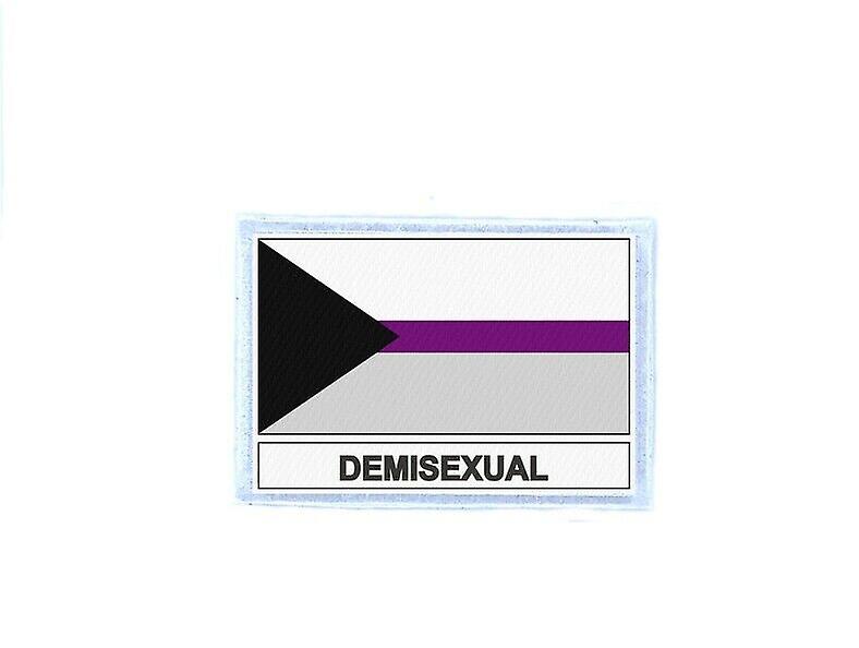 Ecusson patch badge prints halfexual flag demisexual demisexual