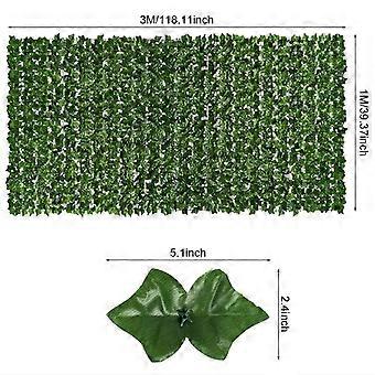 geigenfeige obi Ficus carica (Feige) (M)  Plantsome