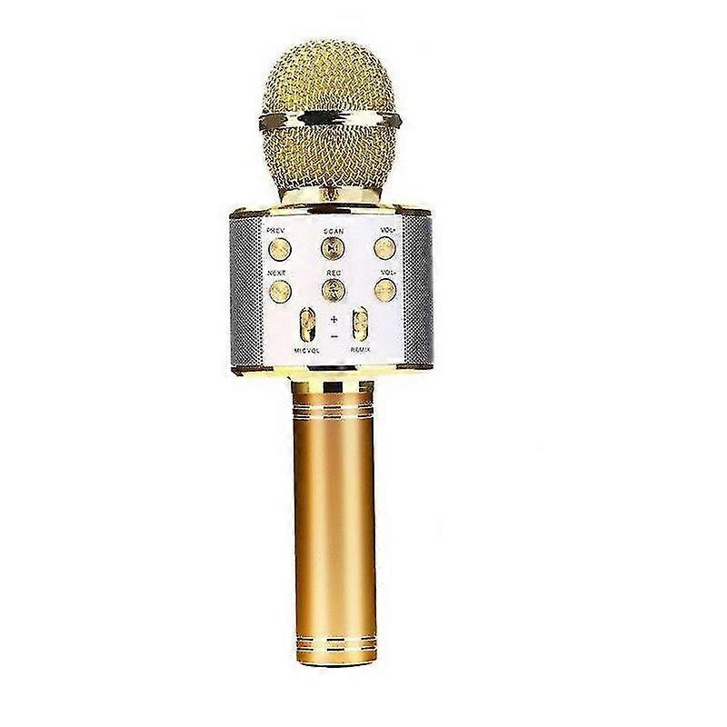 Barsinfi pol Wireless Karaoke Microphone For Kids